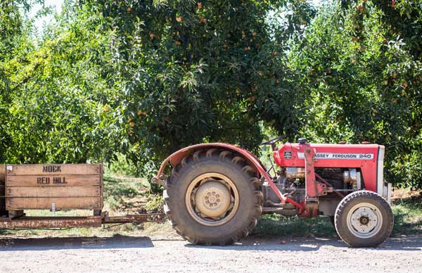 wine-food-farmgate